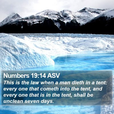 Numbers 19:14 ASV Bible Verse Image