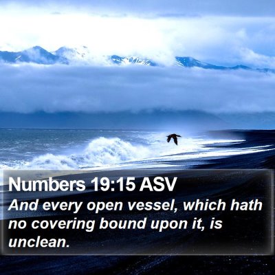 Numbers 19:15 ASV Bible Verse Image