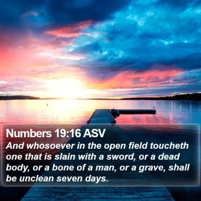 Numbers 19:16 ASV Bible Verse Image
