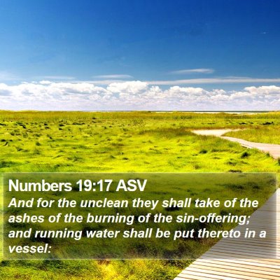 Numbers 19:17 ASV Bible Verse Image