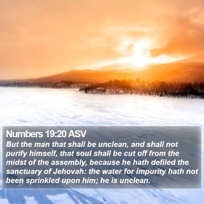Numbers 19:20 ASV Bible Verse Image