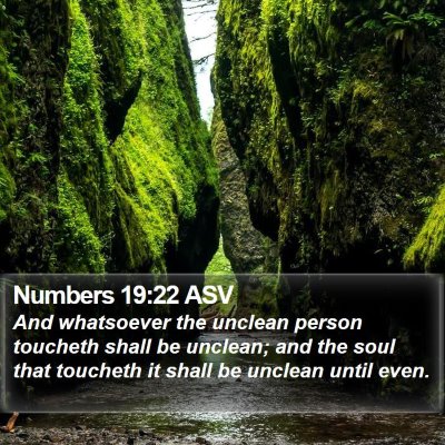 Numbers 19:22 ASV Bible Verse Image