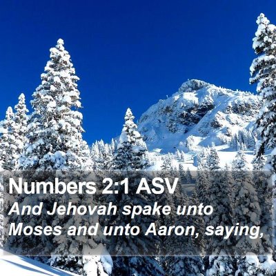 Numbers 2:1 ASV Bible Verse Image