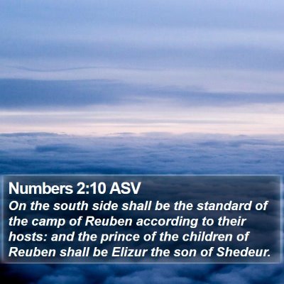 Numbers 2:10 ASV Bible Verse Image