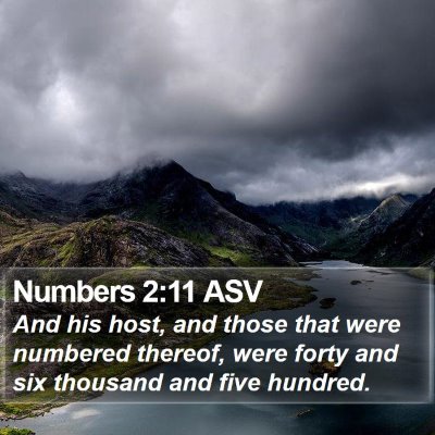 Numbers 2:11 ASV Bible Verse Image