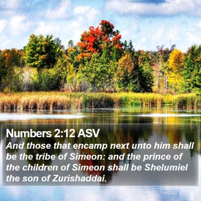 Numbers 2:12 ASV Bible Verse Image
