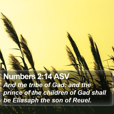 Numbers 2:14 ASV Bible Verse Image