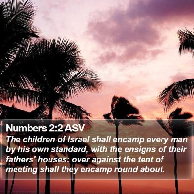 Numbers 2:2 ASV Bible Verse Image