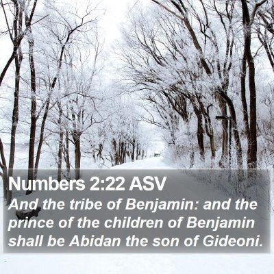 Numbers 2:22 ASV Bible Verse Image
