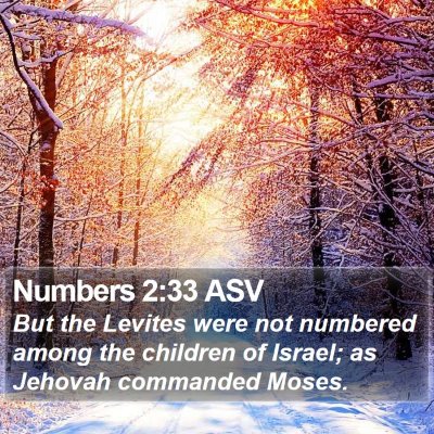 Numbers 2:33 ASV Bible Verse Image