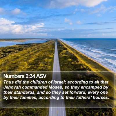Numbers 2:34 ASV Bible Verse Image