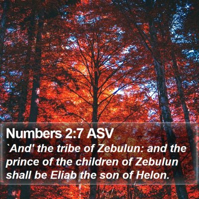 Numbers 2:7 ASV Bible Verse Image
