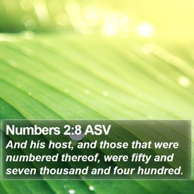 Numbers 2:8 ASV Bible Verse Image