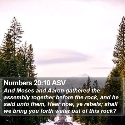 Numbers 20:10 ASV Bible Verse Image