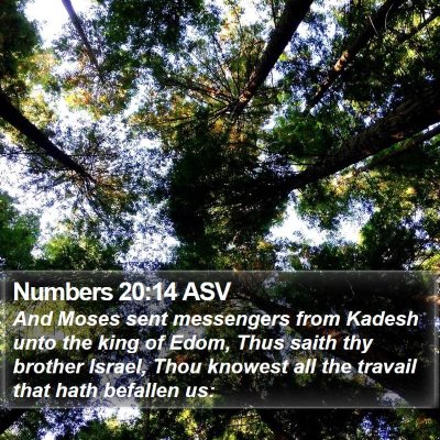 Numbers 20:14 ASV Bible Verse Image
