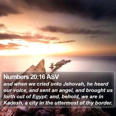 Numbers 20:16 ASV Bible Verse Image