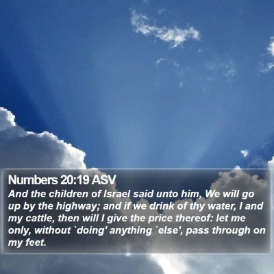 Numbers 20:19 ASV Bible Verse Image