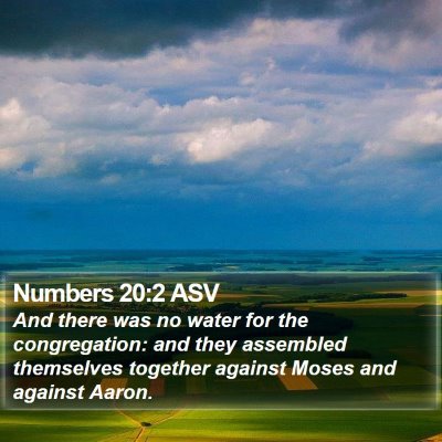 Numbers 20:2 ASV Bible Verse Image