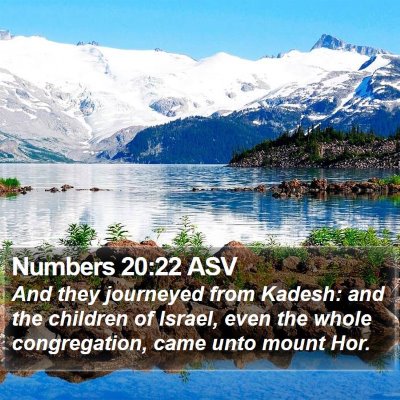Numbers 20:22 ASV Bible Verse Image