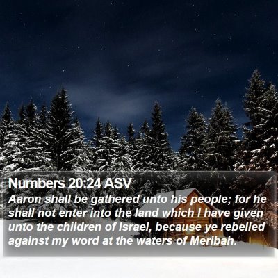 Numbers 20:24 ASV Bible Verse Image