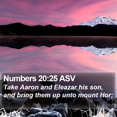 Numbers 20:25 ASV Bible Verse Image