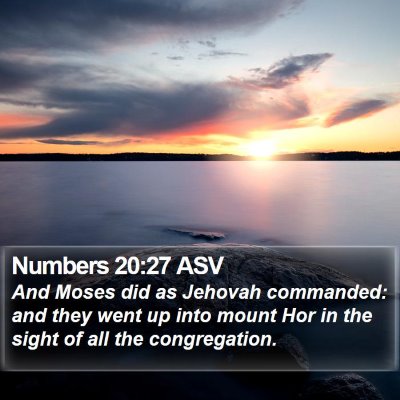 Numbers 20:27 ASV Bible Verse Image
