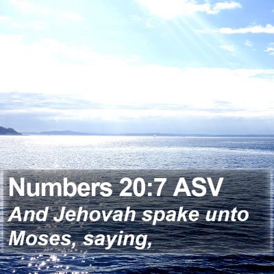 Numbers 20:7 ASV Bible Verse Image