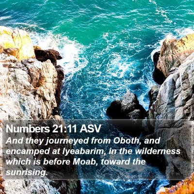 Numbers 21:11 ASV Bible Verse Image