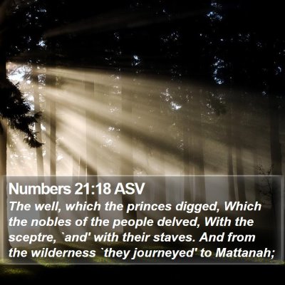 Numbers 21:18 ASV Bible Verse Image