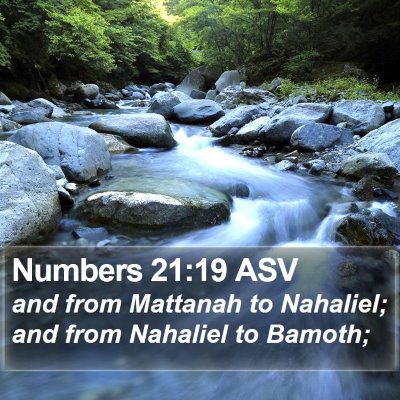 Numbers 21:19 ASV Bible Verse Image