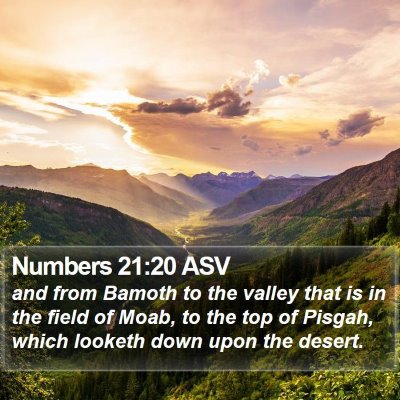 Numbers 21:20 ASV Bible Verse Image