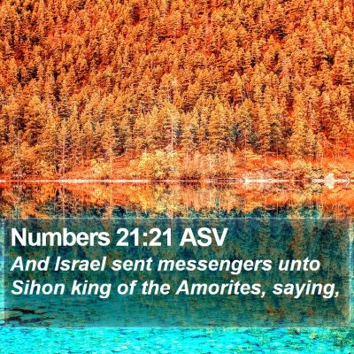 Numbers 21:21 ASV Bible Verse Image