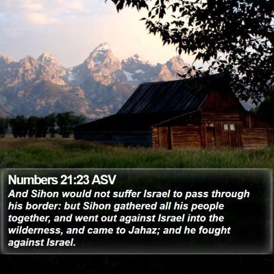Numbers 21:23 ASV Bible Verse Image