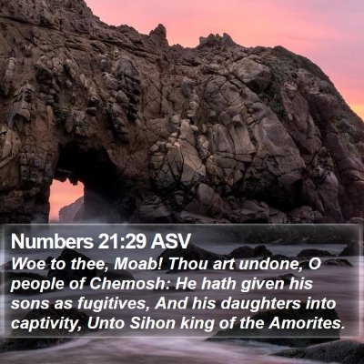 Numbers 21:29 ASV Bible Verse Image