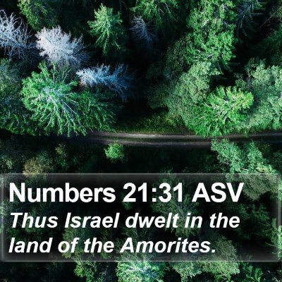 Numbers 21:31 ASV Bible Verse Image