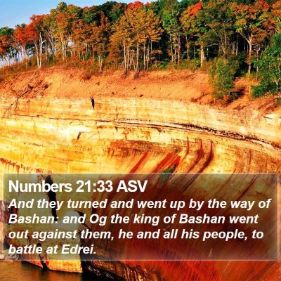 Numbers 21:33 ASV Bible Verse Image