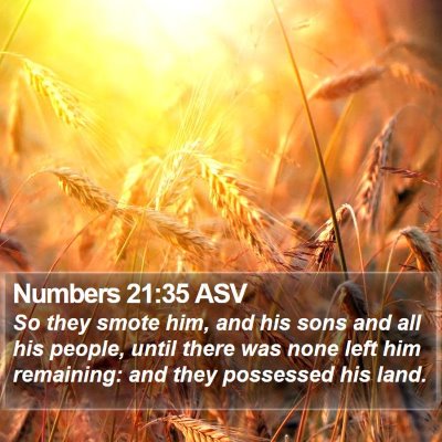 Numbers 21:35 ASV Bible Verse Image