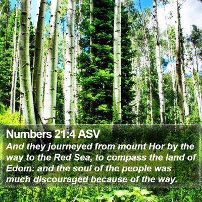 Numbers 21:4 ASV Bible Verse Image
