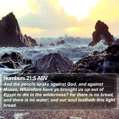 Numbers 21:5 ASV Bible Verse Image