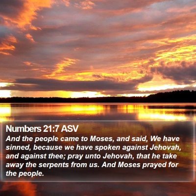 Numbers 21:7 ASV Bible Verse Image