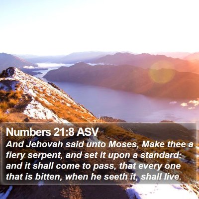 Numbers 21:8 ASV Bible Verse Image