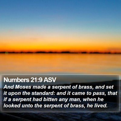 Numbers 21:9 ASV Bible Verse Image