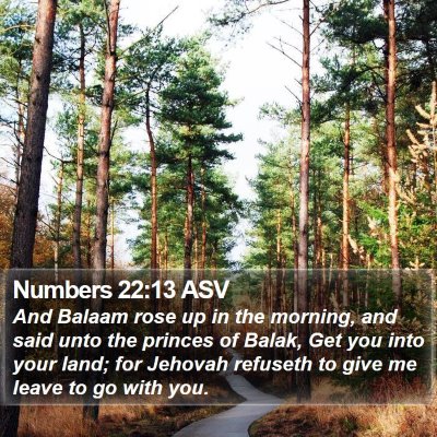 Numbers 22:13 ASV Bible Verse Image