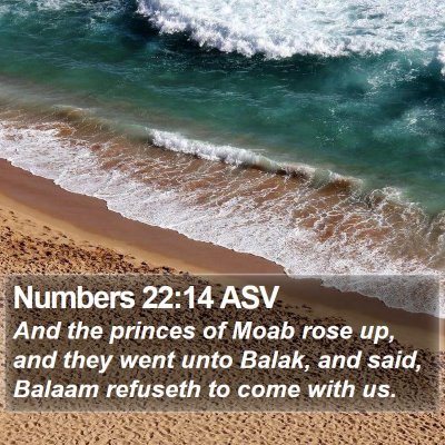 Numbers 22:14 ASV Bible Verse Image