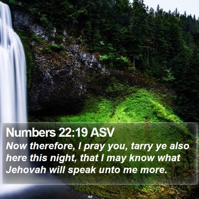 Numbers 22:19 ASV Bible Verse Image