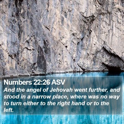 Numbers 22:26 ASV Bible Verse Image