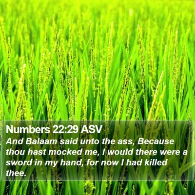 Numbers 22:29 ASV Bible Verse Image