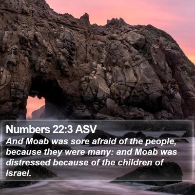 Numbers 22:3 ASV Bible Verse Image