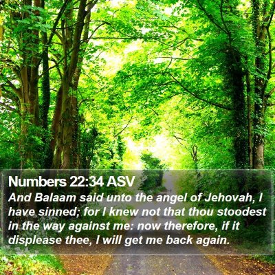 Numbers 22:34 ASV Bible Verse Image