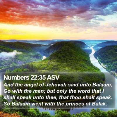 Numbers 22:35 ASV Bible Verse Image